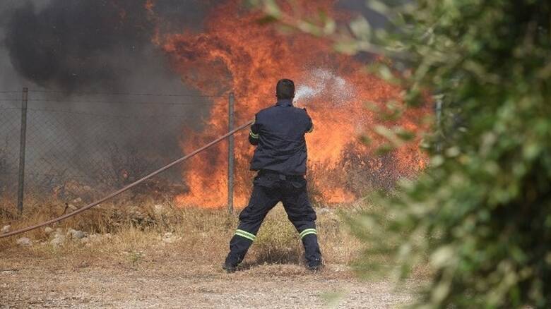 Πολιτική Προστασία: Υψηλός ο κίνδυνος φωτιάς στη Χαλκιδική – Οι απαγορεύσεις που ισχύουν