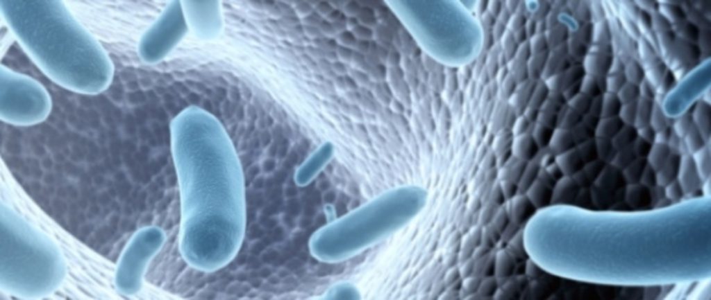 Τι αποκαλύπτει έρευνα για τη σχέση μεταξύ του μικροβιώματος των μωρών και της ανάπτυξης του εγκεφάλου τους