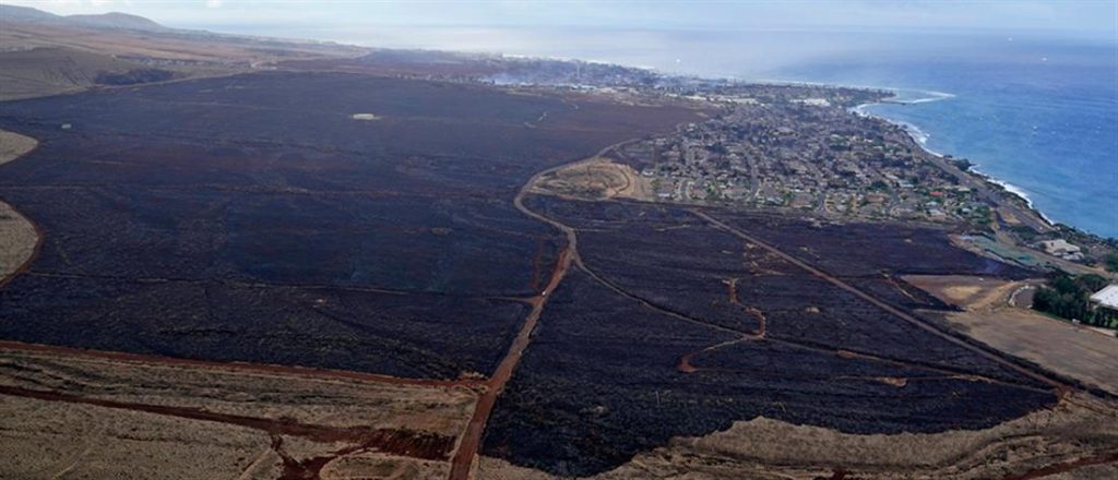 Χαβάη: Τους 99 έφτασαν οι νεκροί από τις φωτιές – Οι αρχές εκτιμούν ότι ο αριθμός αναμένεται να διπλασιαστεί