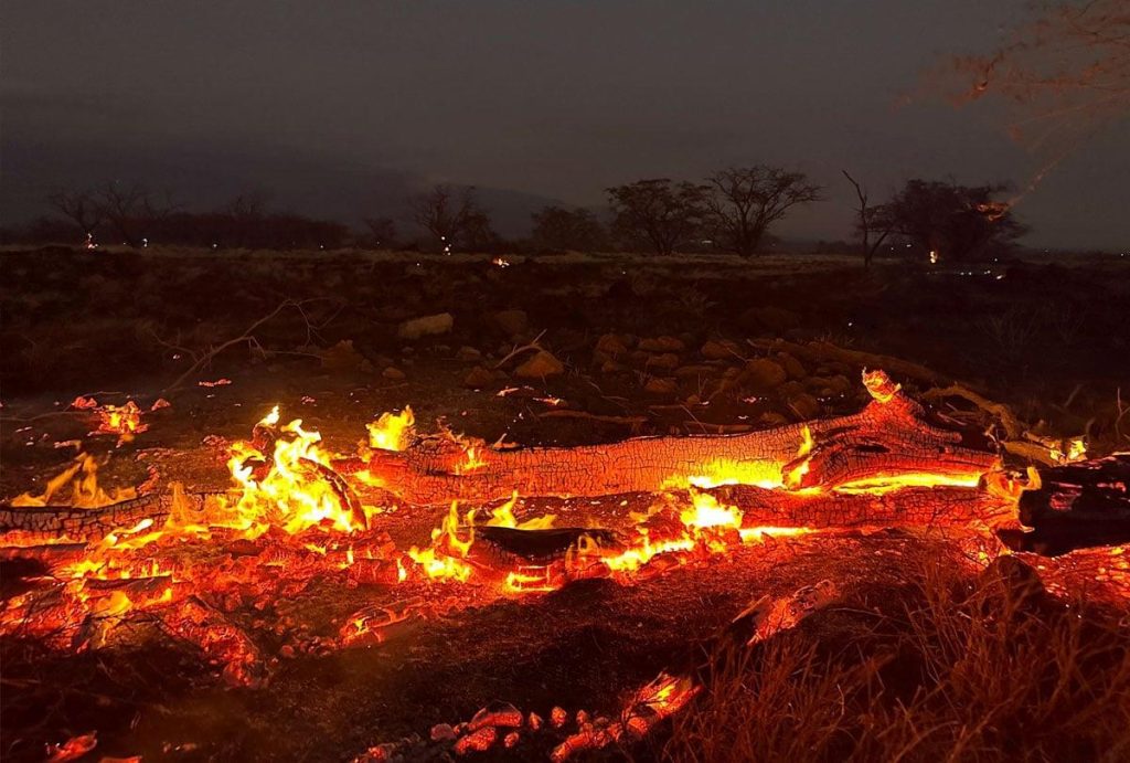 Χαβάη: Έφτασαν τους 110 οι νεκροί από τις φωτιές – Τεστ DNA για να αναγνωριστούν τα θύματα