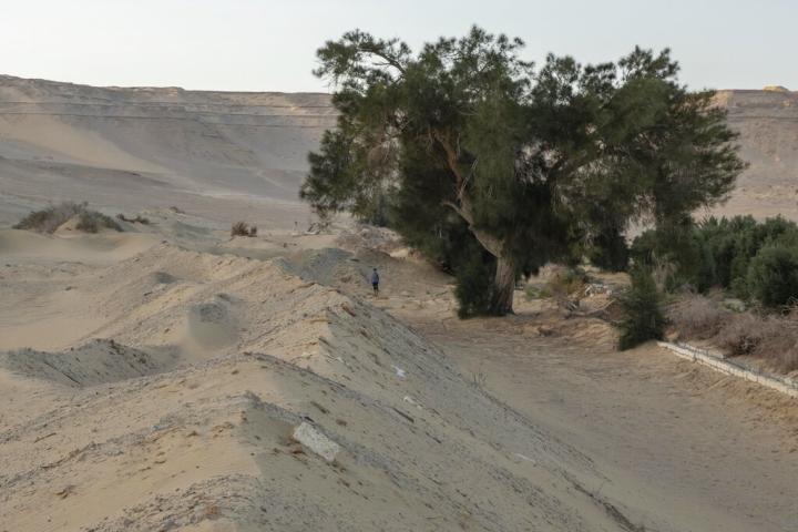 Αίγυπτος: Νεκροί από δίψα τρεις έφηβοι που αναζητούσαν χρυσό