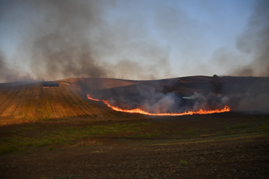 Φωτιά στον Δοξαρά Λάρισας: Καίγεται αγροτική έκταση – Δείτε φωτογραφίες