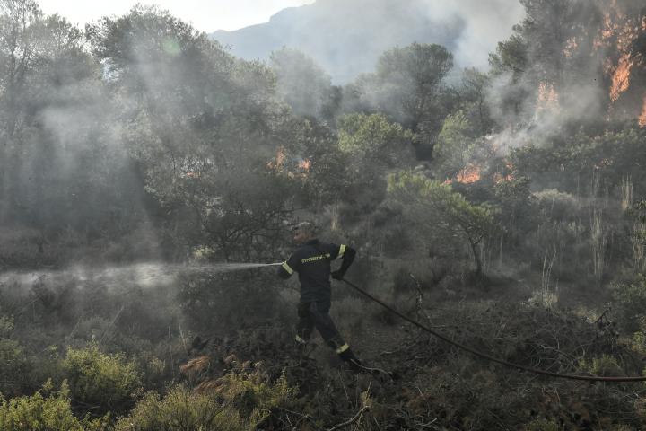 Πυρκαγιά ξέσπασε στη Μεσσηνία στην περιοχή Μάδενα – Καίγονται ελαιώνες