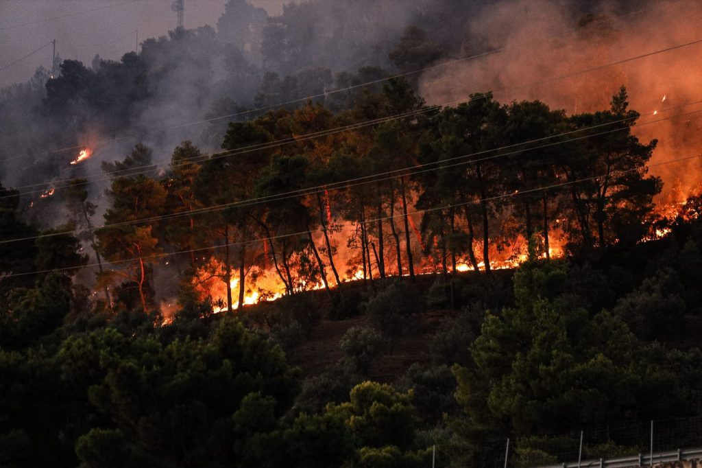 Φωτιά στην Αλεξανδρούπολη: Τέσσερα τα ενεργά μέτωπα της πυρκαγιάς