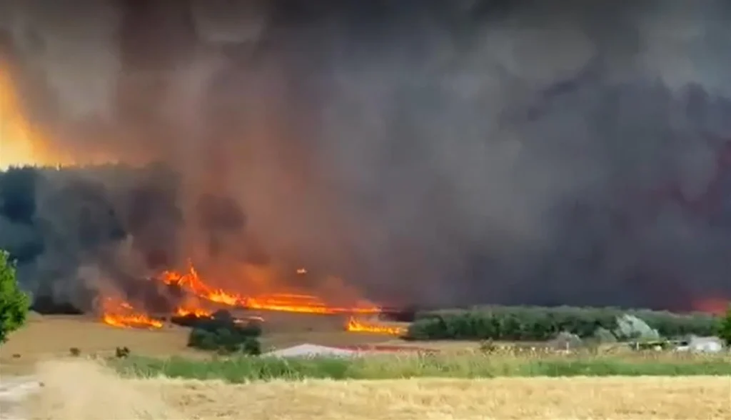 Φωτιές: «Κόλαση επί γης» στη Χασιά – Καίγονται σπίτια