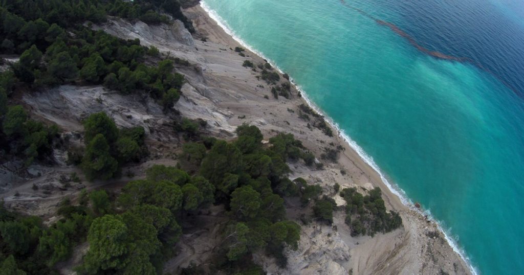 Λευκάδα: Πεύκο έπεσε μέσα στη θάλασσα σε πολυσύχναστη παραλία