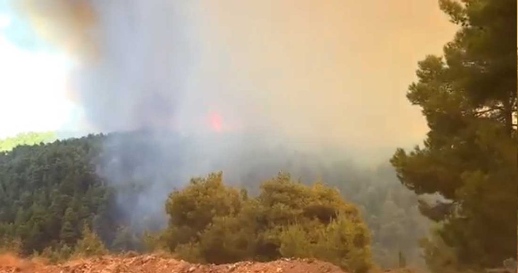 Πυρκαγιά ξέσπασε στην Εύβοια – Καίγεται περιοχή στα Ψαχνά