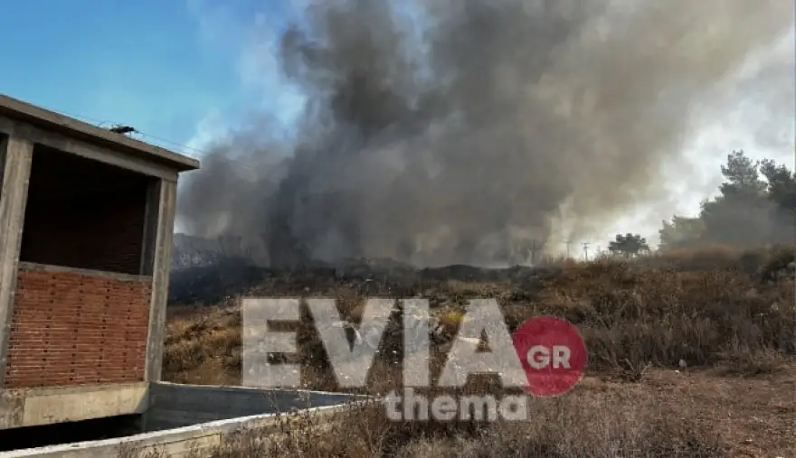 Εύβοια: Δύο ταυτόχρονες πυρκαγιές στα Ψαχνά – Στύλος τυλίχτηκε στις φλόγες από καμένα λάστιχα