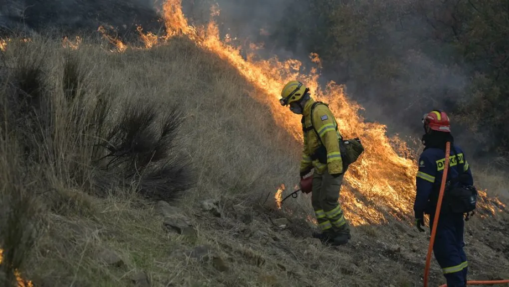Πυρκαγιά ξέσπασε στον Πρόδρομο Βοιωτίας – Εκκενώνεται η παραλία Σαράντης μετά από μήνυμα του 112 (upd)