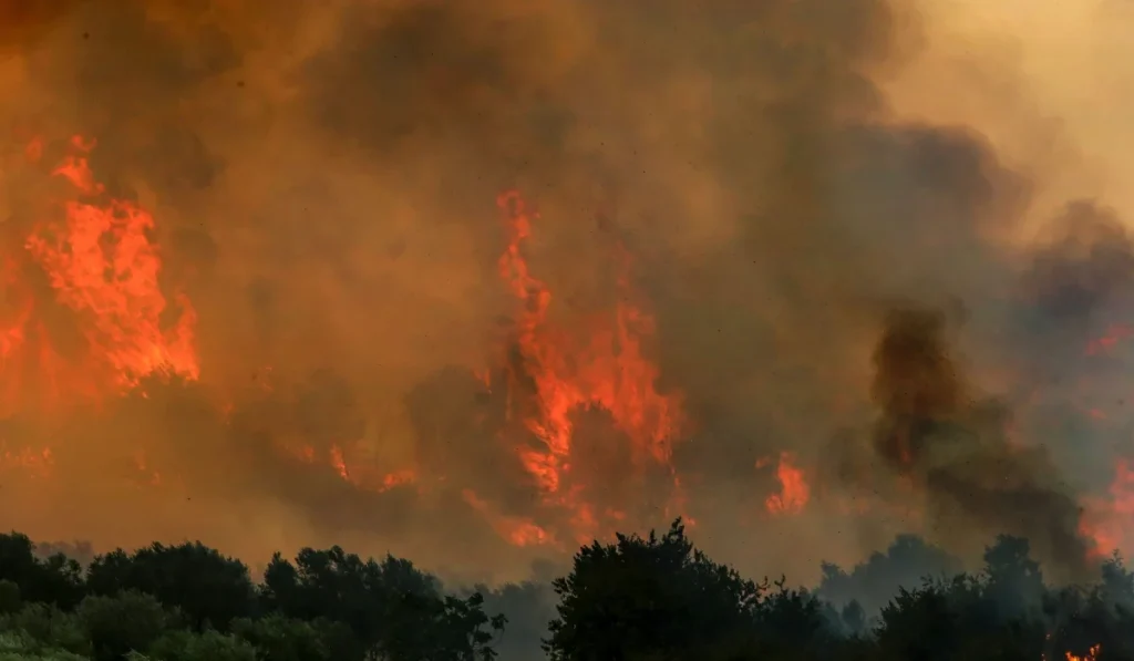 Βοιωτία: Ολονύχτια μάχη για την κατάσβεση της πυρκαγιάς – Παραδόθηκε στις φλόγες το παραλιακό μέτωπο