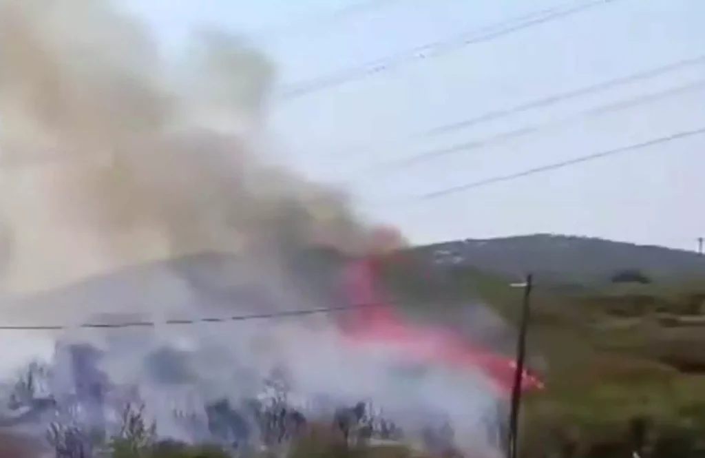 Βίντεο από τη φωτιά που ξέσπασε στο Ναρθάκι Φαρσαλών – Δάσος παραδόθηκε στις φλόγες