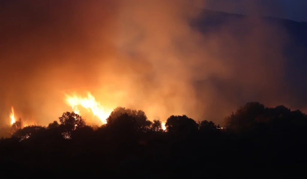 Φωτιά στη Βοιωτία: Μήνυμα 112 για εκκένωση της περιοχής Ζάλτσα