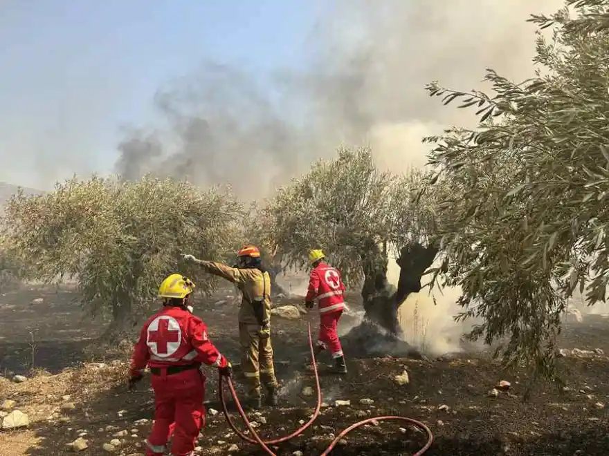 Πυρκαγιά στη Ροδόπη: Μήνυμα του «112» για εκκένωση στην Κασσιτέρα