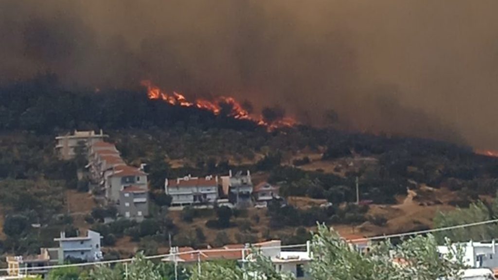 Φωτιά στην Αλεξανδρούπολη: Συγκλονίζει κάτοικος – «Λάβαμε μήνυμα εκκένωσης στις 3 το ξημέρωμα»