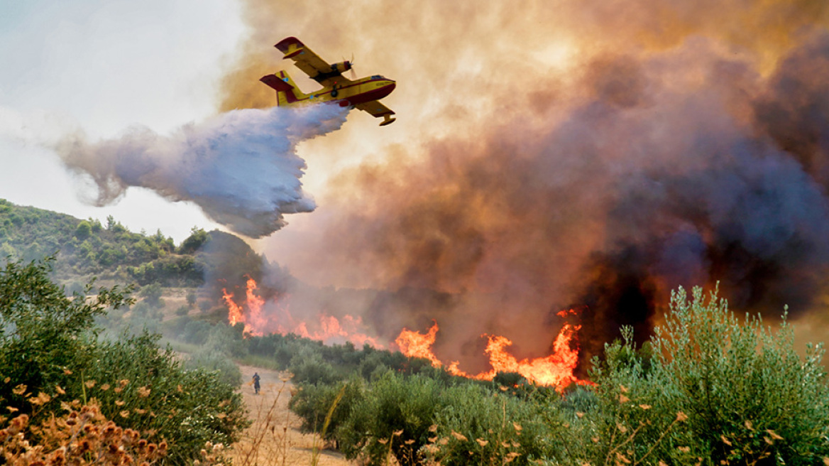 Φυλή: Mάχη να μην ανέβει Πάρνηθα η φωτιά – Εκκενώθηκε το αμαξοστάσιο της ΟΣΥ στα Άνω Λιόσια με φορτηγά με υγραέριο (upd)