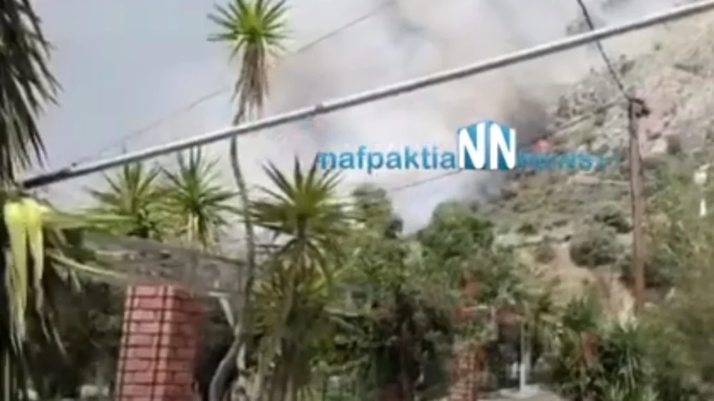 Φωτιά και στο Κρυονέρι Ναυπακτίας κοντά σε σπίτια (βίντεο)