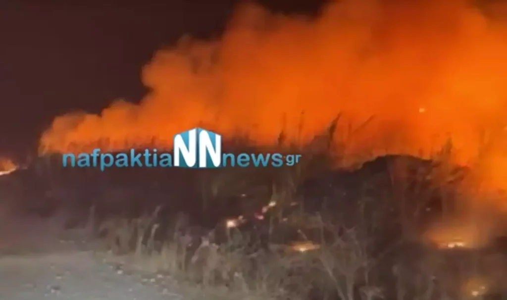 Συναγερμός έχει σημάνει και στην Ναυπακτία: Καίγεται περιοχή στον Γαλατά (βίντεο)