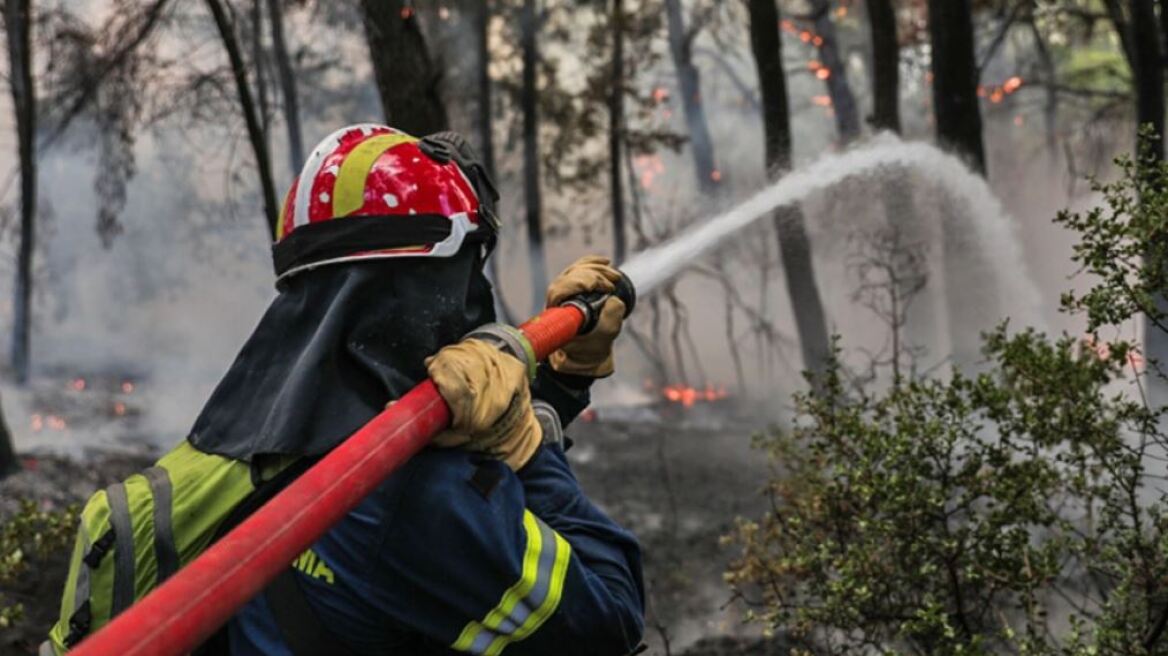«Είχαν βάλει τον λύκο να φυλάει τα πρόβατα»: Εποχικός πυροσβέστης συνελήφθη για πέντε εμπρησμούς στην Κεφαλονιά