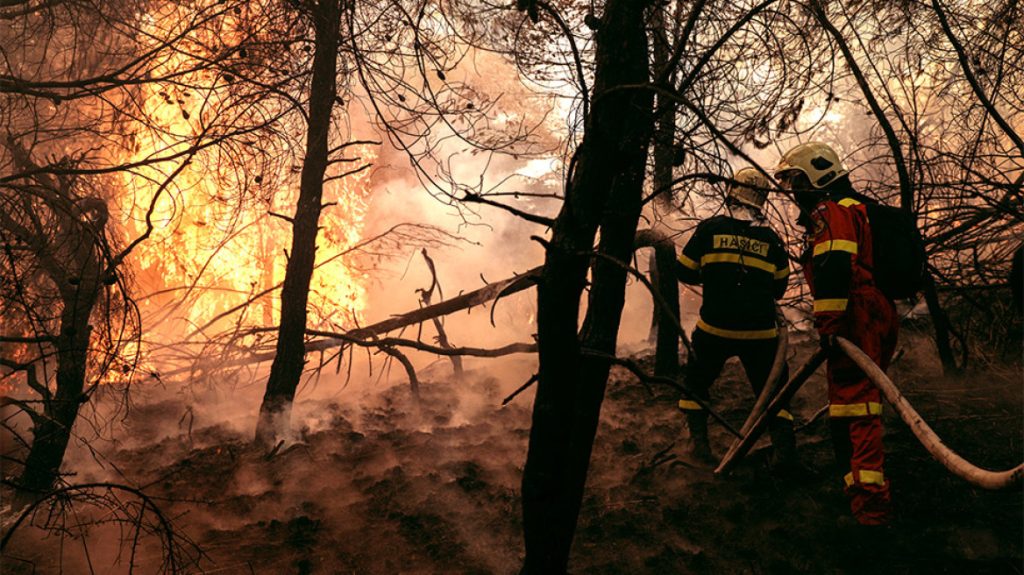 Φωτιά στην Πτολεμαΐδα: Καίγεται πευκοδάσος