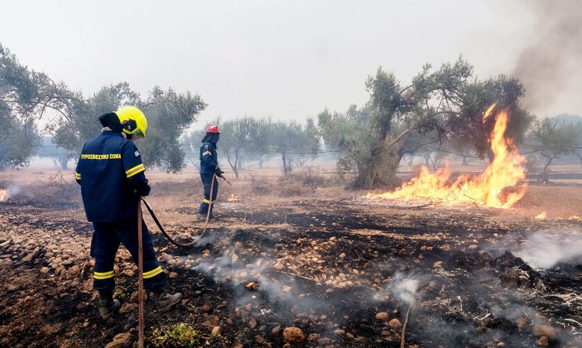 Φωτιά στη Ροδόπη: Ξεσπά κάτοικος του χωριού – «Μέσα σε 10 λεπτά καταστράφηκαν οι κόποι μίας ζωής»