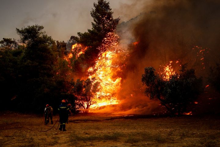 Συγκλονίζει κάτοικος της Πάρνηθας για την «κόλαση» των πυρκαγιών: «Ακούω ζώα να καίγονται ζωντανά» (βίντεο)