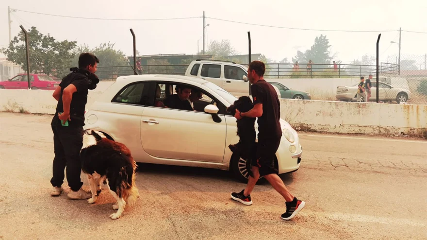 Φωτιά στην Πάρνηθα: Εκκένωση οικισμών – Με τα σκυλιά τους αγκαλιά φεύγουν από τα σπίτια τους οι κάτοικοι (φωτο)