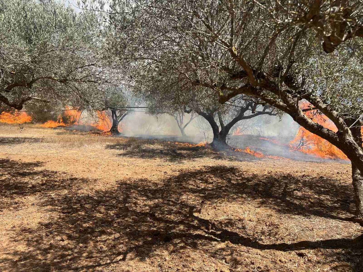 Συναγερμός στην Πυροσβεστική: Ξέσπασε φωτιά και στο Ηράκλειο – Καίγεται αγροτοδασική έκταση