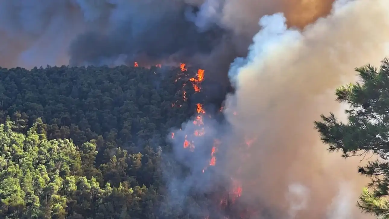 Οι 18 περιοχές που υπάρχει πολύ υψηλός κίνδυνος πυρκαγιάς την Τετάρτη