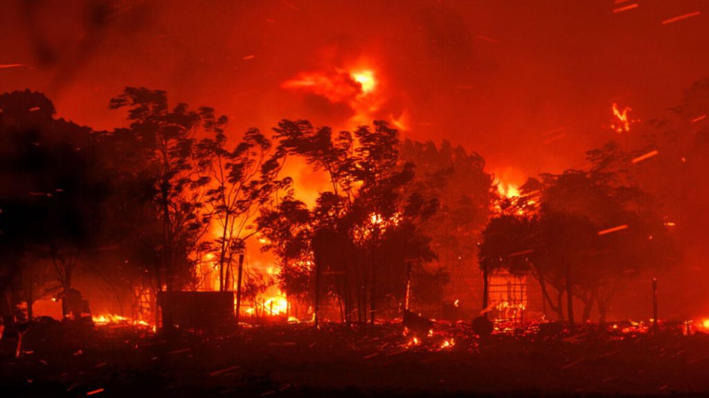 Πάνω από 617.000 στρέμματα κάηκαν στον Έβρο – Σοκάρουν οι δορυφορικές φωτογραφίες