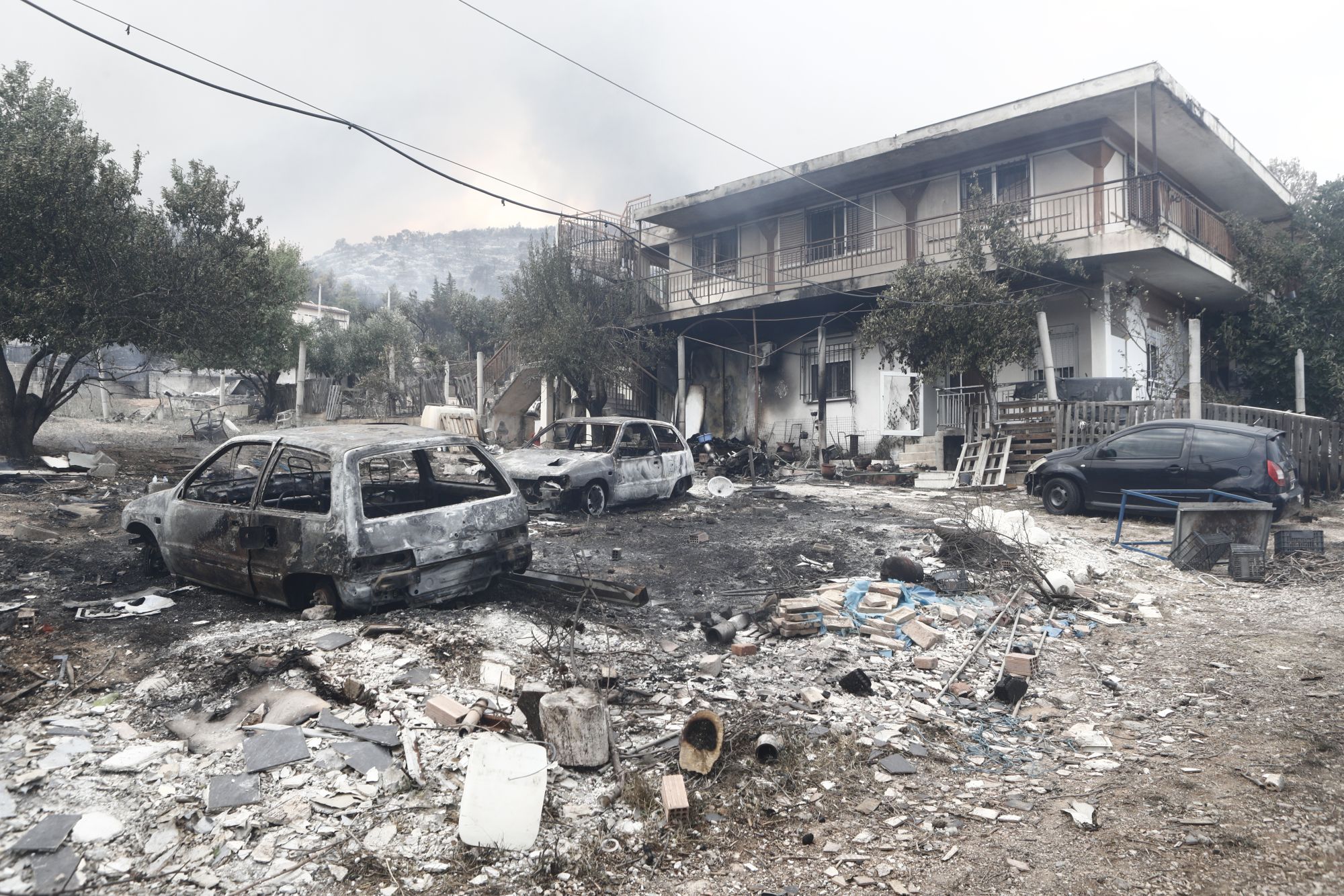 Ξέσπασμα από πολίτη για τις φωτιές στην Πάρνηθα– «Η Ελλάδα καίγεται και ο Κ.Μητσοτάκης πίνει καφέ με τον Β.Ζελένσκι»