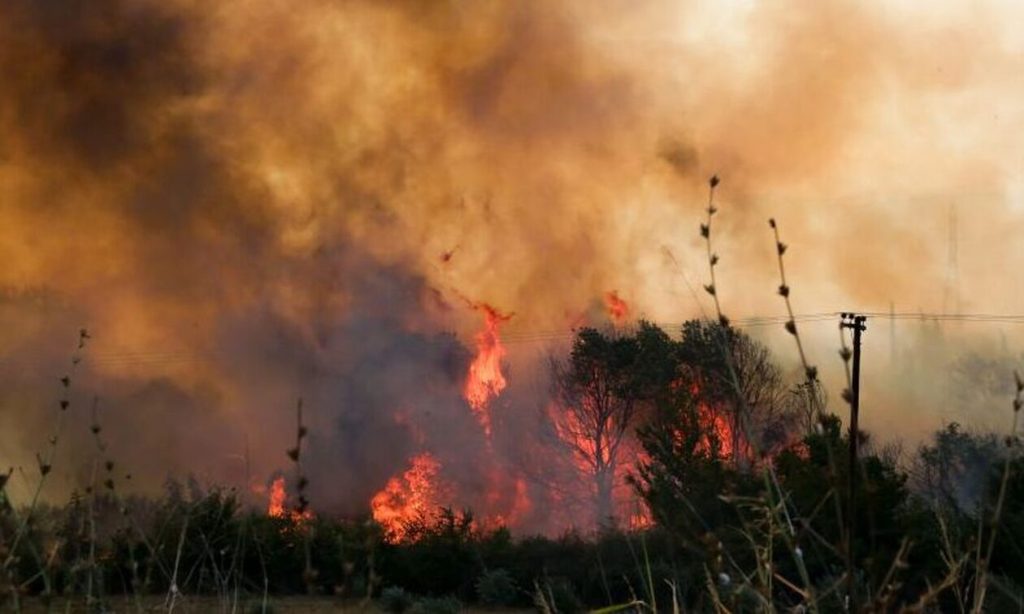 Πυροσβεστική: «Η φωτιά στην Πάρνηθα κοντά στη Μονή Κλειστών δεν σχετίζεται με πυλώνα υπερυψηλής τάσης»