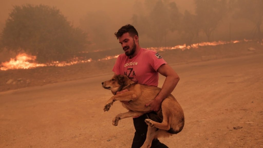 Ο άνθρωπος που έσωζε τα ζώα στην φωτιά της Πάρνηθας: «Τι να το κάνω εγώ το ήρωας αν χαθεί;»