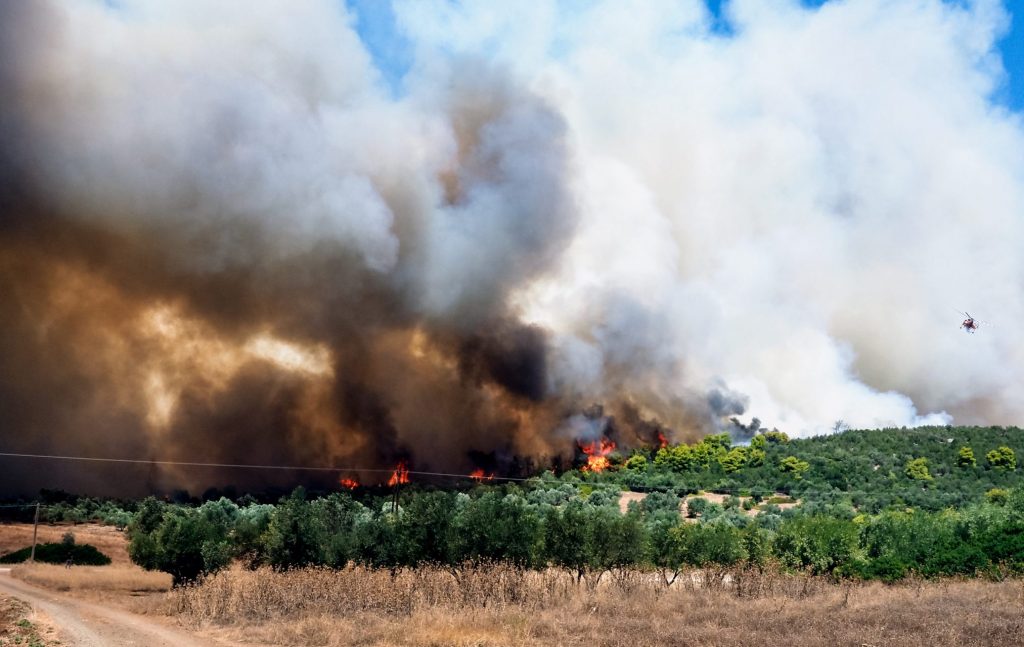 Εκτός ελέγχου η φωτιά στην Εύβοια: Καίγεται δασική έκταση στο Κοντοδεσπότι – Ήχησε το «112» για εκκένωση (upd)
