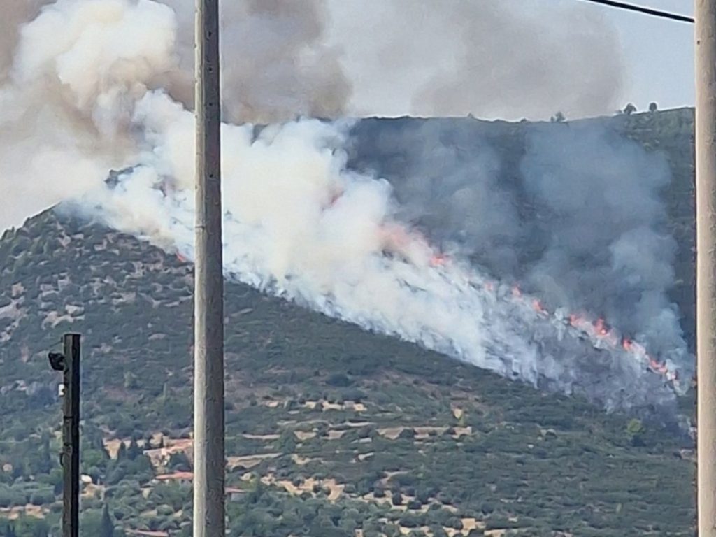 Υπό έλεγχο η φωτιά στον Αυλώνα – Άρθηκαν οι κυκλοφοριακές ρυθμίσεις
