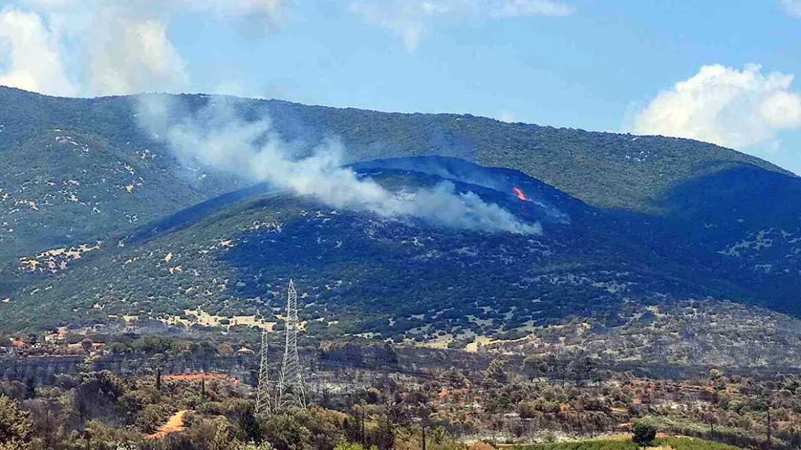 Σε εξέλιξη η φωτιά στην Καβάλα – Αναζωπυρώσεις σε Διαλεκτό και Αβραμυλιά
