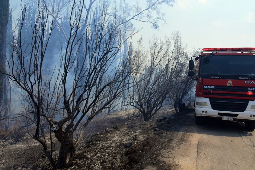 Θεσσαλονίκη: Υπό έλεγχο η φωτιά στον Λαγκαδά