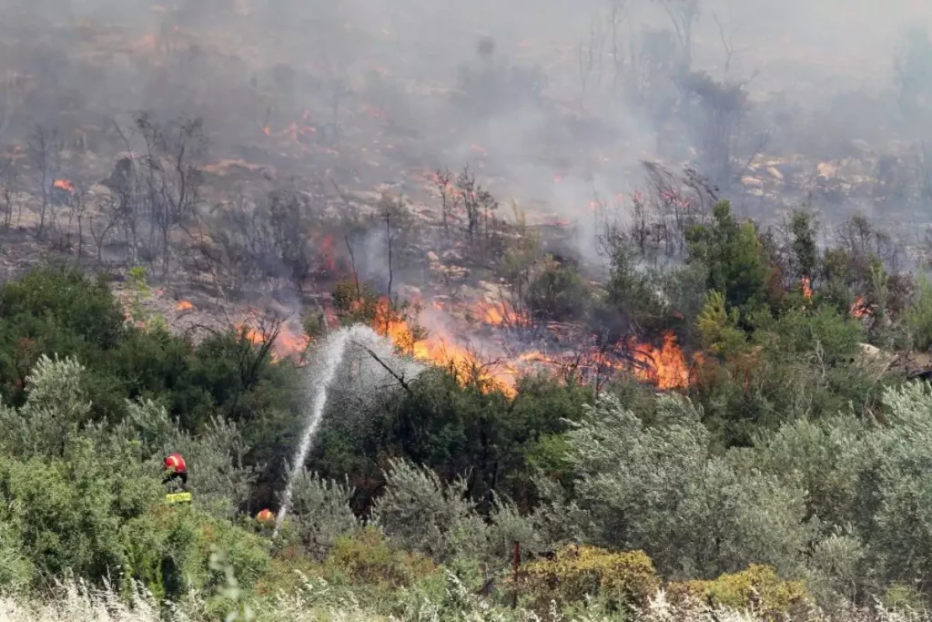 Πυρκαγιά ξέσπασε στον Αυλώνα – Καίγεται δασική έκταση στο Ασπροχώρι