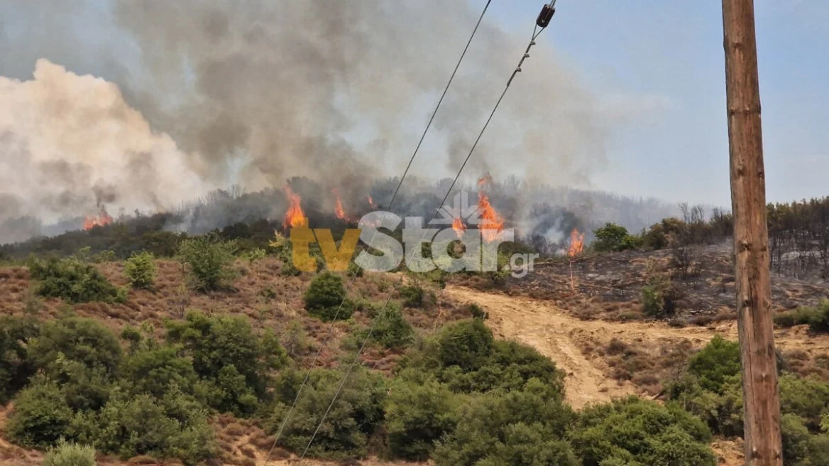 Εκτός ελέγχου η φωτιά στη Βίτωλη Φθιώτιδας – Πραγματοποιούνται ρίψεις νερού από PZL και Canadair (φωτό)