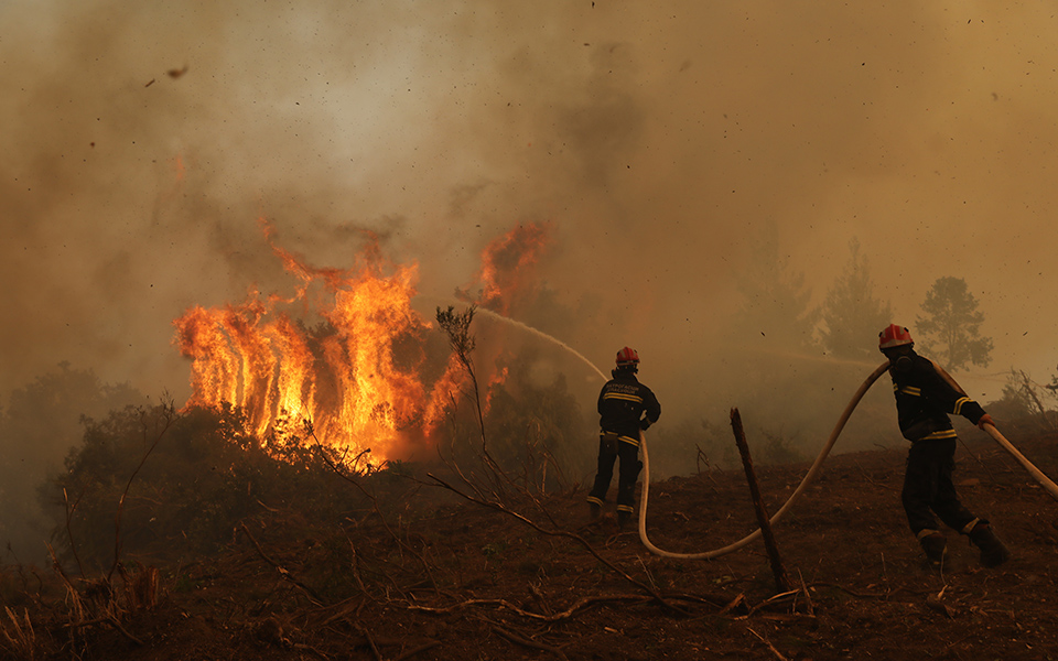 Ξέσπασε φωτιά στη Δράμα: Καίγεται δασική έκταση στην περιοχή Πανόραμα Προσοτσάνης