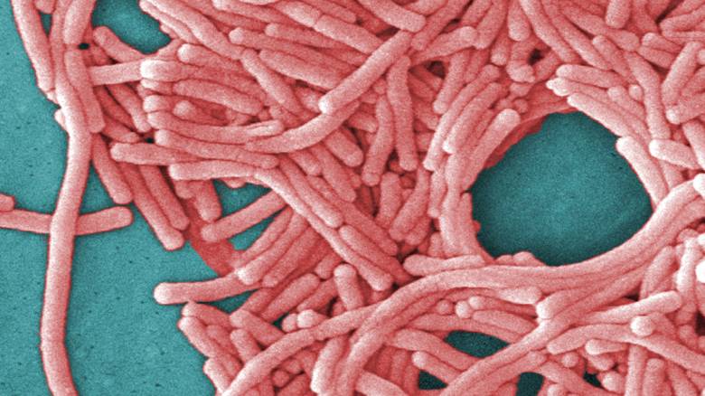 Νόσος των Λεγεωνάριων: Τα συμπτώματα που πρέπει να γνωρίζετε – Πότε εμφανίζονται