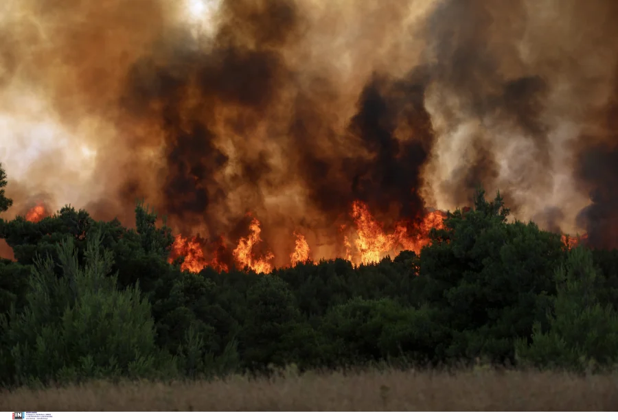 Πυρκαγιά σε ξερά χόρτα στον Λαγκαδά Θεσσαλονίκης