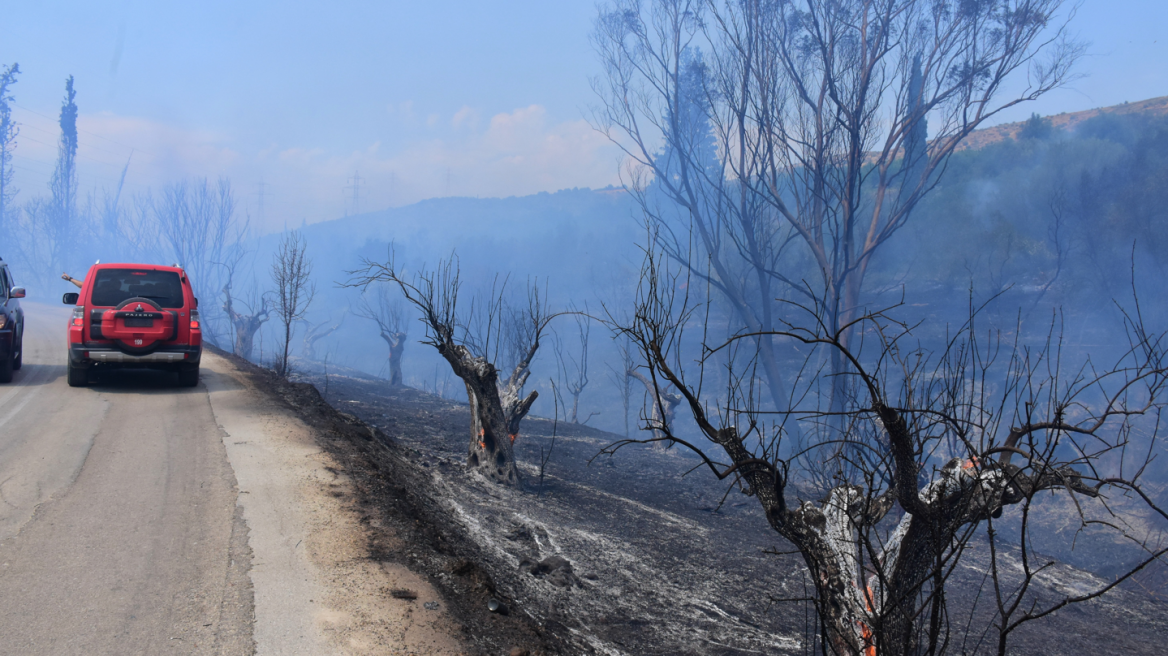 Πάρνηθα: Δείτε σε ποιους δρόμους έχει αποκατασταθεί η κυκλοφορία