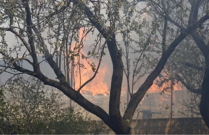 Υπό μερικό έλεγχο η φωτιά στον Λαγκαδά Θεσσαλονίκης