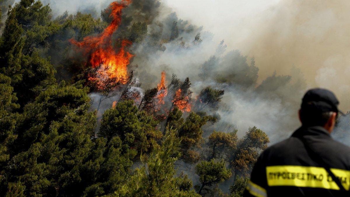 Υπό μερικό έλεγχο τέθηκαν οι πυρκαγιές που ξέσπασαν σε Λάγιο Λακωνίας και Ελληνικό Αργολίδας