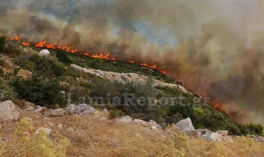 Ξέσπασε φωτιά και στη Φθιώτιδα: Καίγεται δασική έκταση – Επιχειρούν και εναέρια μέσα (upd)