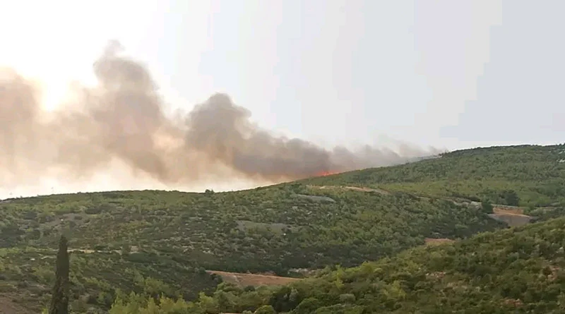 Φωτιές ξέσπασαν σε Βαρνάβα, Καλέτζι και Γραμματικό