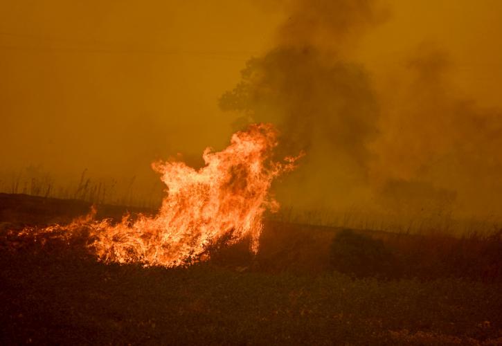 Υπό μερικό έλεγχο οι φωτιές που ξέσπασαν σε Βάρη, Βούλα, Κορωπί και Γραμματικό Μαραθώνα