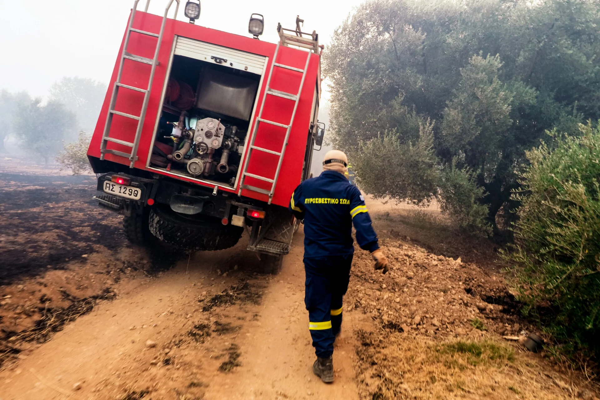 Φωτιά σε χαμηλή βλάστηση στη Σκύρο