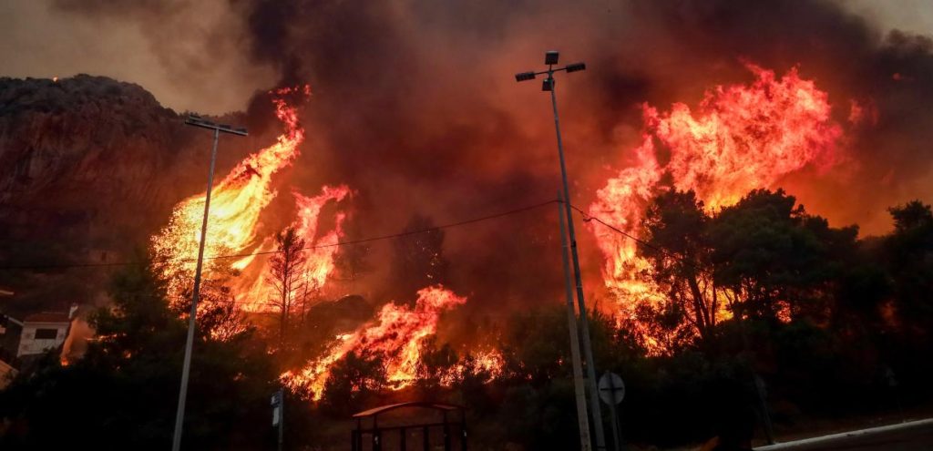 Θρίλερ στη Φυλή: Σε ποιον ανήκει το κρανίο που βρέθηκε στην καμένη περιοχή (φωτό)