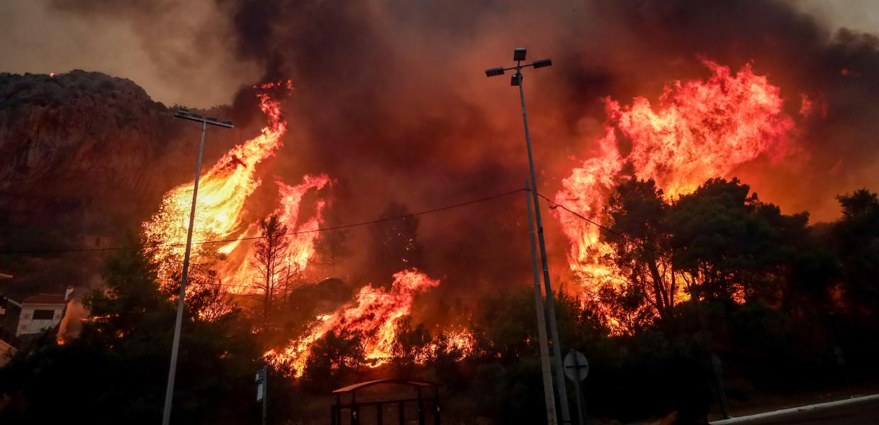 Θρίλερ στη Φυλή: Σε ποιον ανήκει το κρανίο που βρέθηκε στην καμένη περιοχή (φωτό)